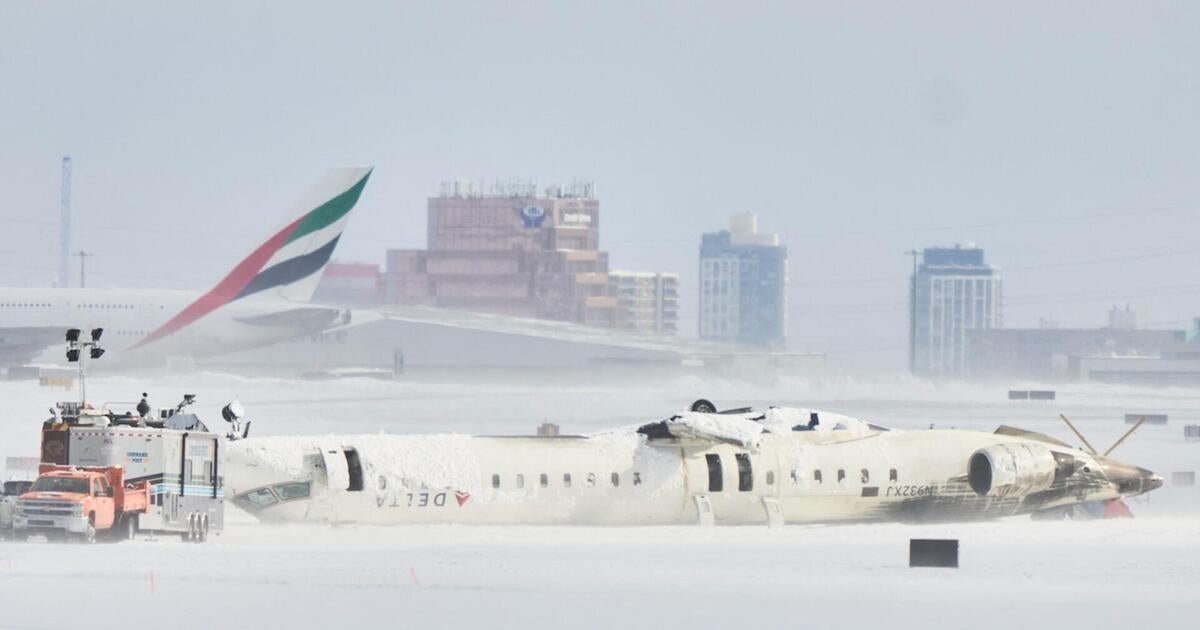 Delta Release the Dog's Flying Information of Couw that founded, slipped to Toronto