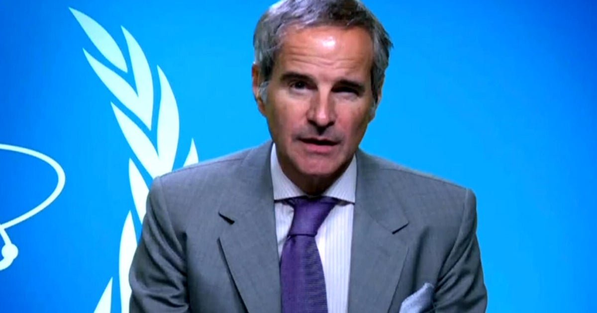 The nuclear government manager says Iran's abilities have suffered "severe damage"