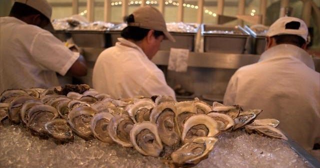 An ODE to oysters - the news of CBS