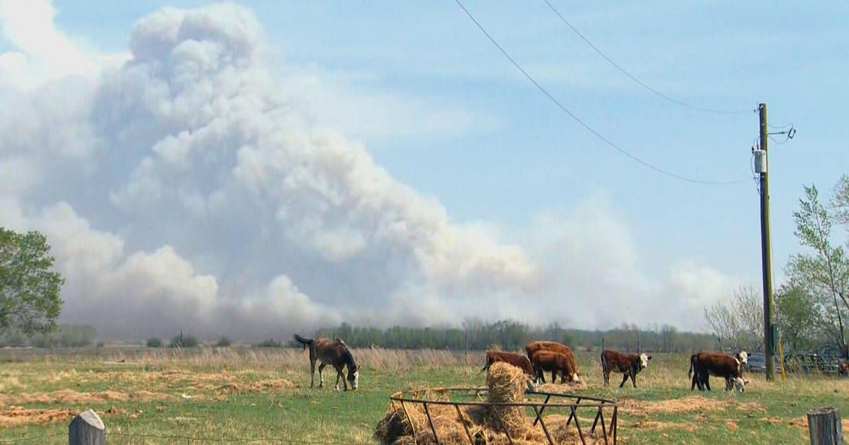 More than 170 burning wild in Canada