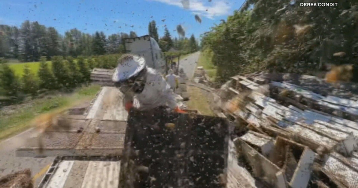 14 million milling tops escape after the truck rim in Washington State