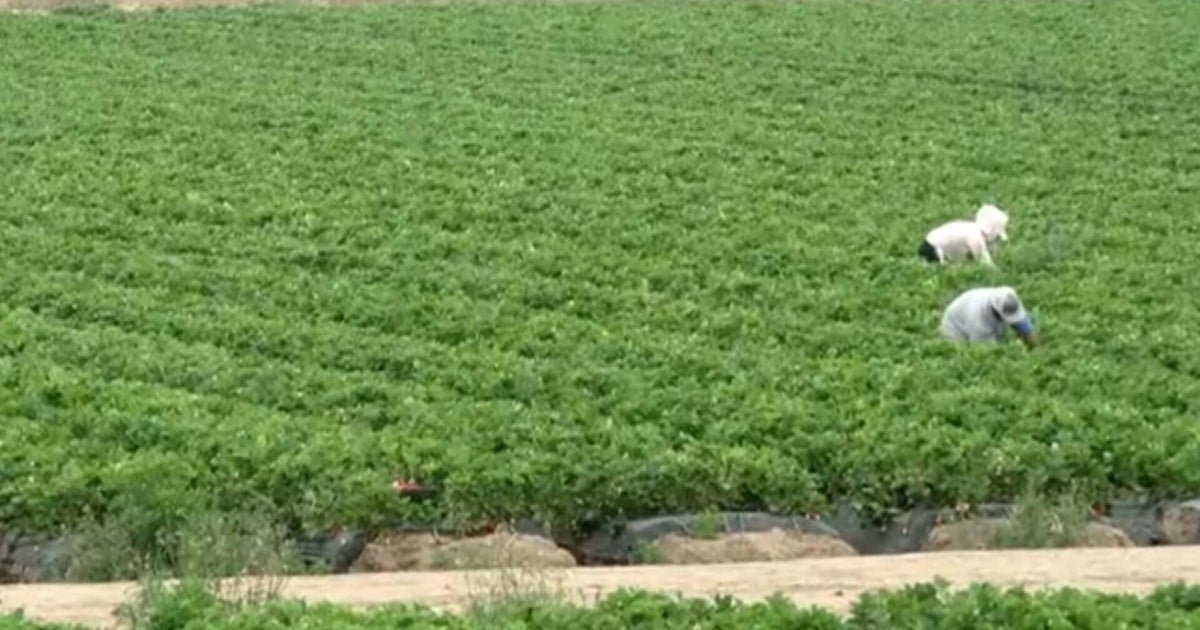 Migrant farm workers express concern about ice rockets