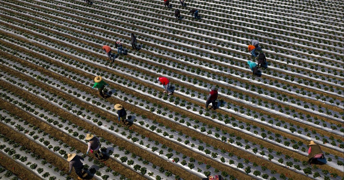 Which industries will be caught harder than deportations?