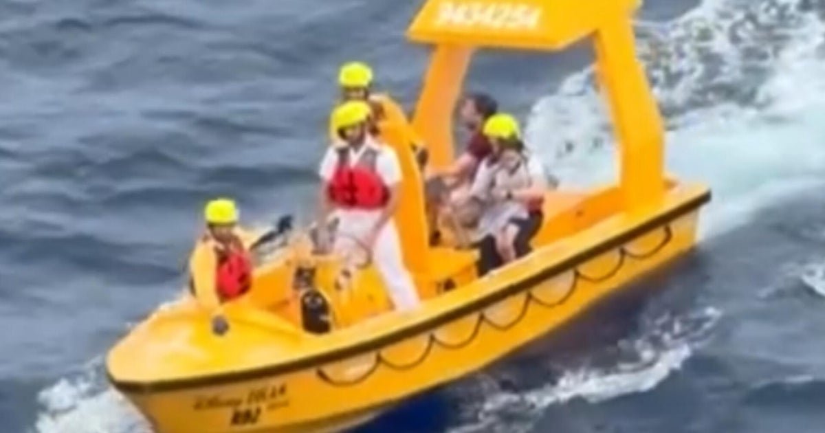 Witnesses qualify the father of the father of jumping to save the boy who fell on board by disney cruise