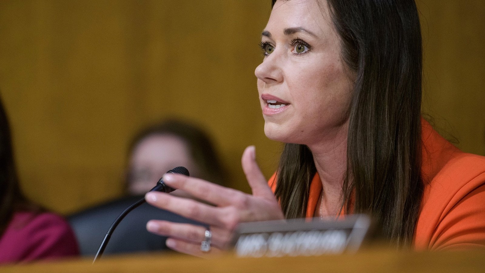 Senate Republicans hold the senation of the mental fitness of biden as a Democrats Boycott