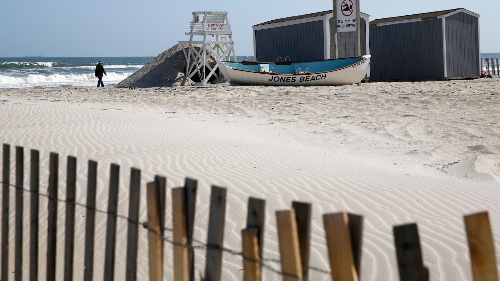 Officials believe young sharks bits a woman in a new year week