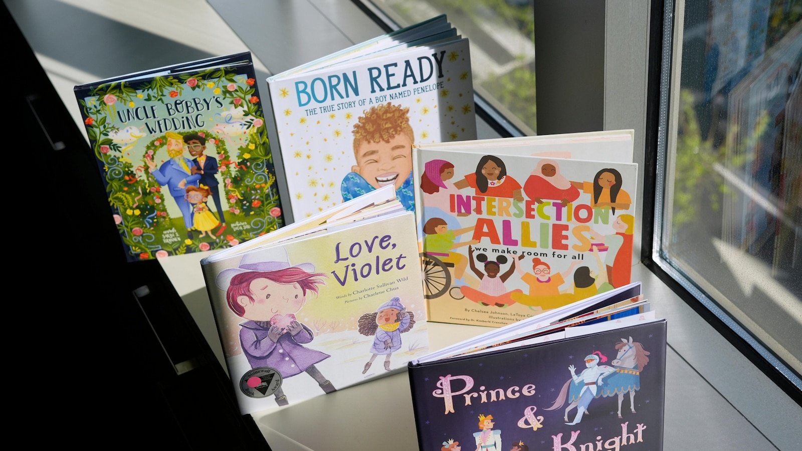 What you know about the upper case supreme court on public school lessons using lgbtq books
