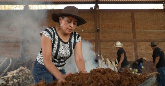 MEZCAL PRODUCERS preserve traditional methods as a liquor requests growing | 60 minutes