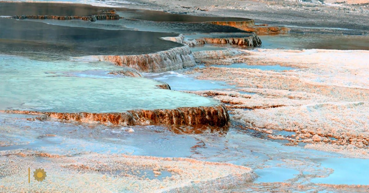 Nature: MammutT Hot Springs to Yellowstone