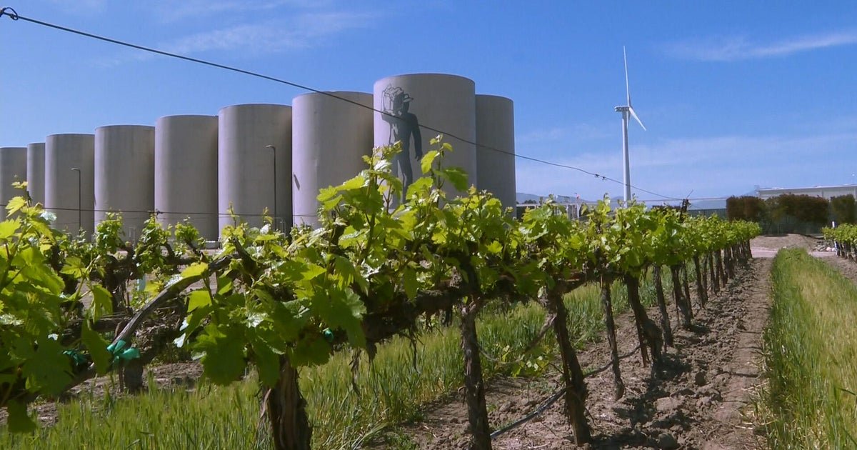 California vines uses the power of the wind to make wine