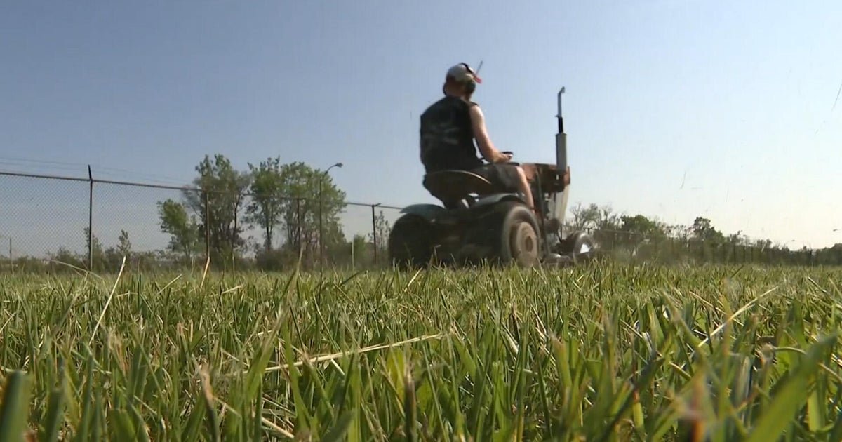 Detroit BetnMower Kidnmower going strong after 15 years
