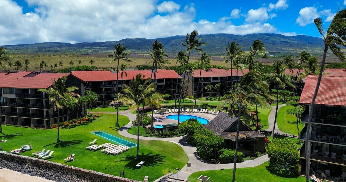 Maui's panel spend billing holiday panel to propose the housing housing after wildfire