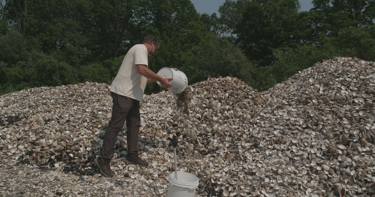 Used homemade water oysters to help restore the ecosystem