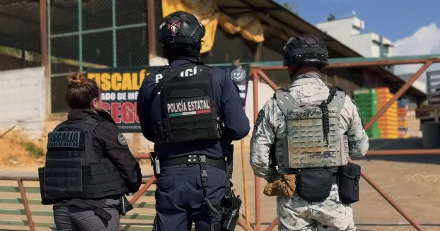 Mexico processing of the beacon of cartographers in historical crackdown; exotic animals and cars take