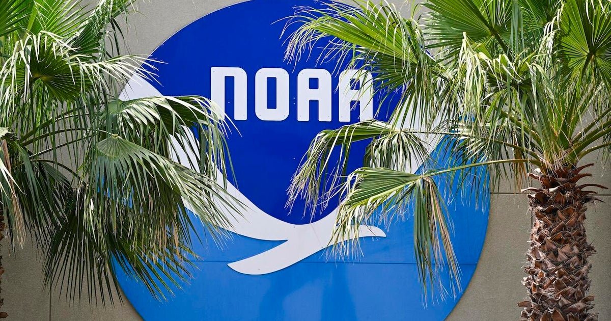 Trump Neaa Pick confirmation audience will fall in love with Dode's cuts, flooding fabric