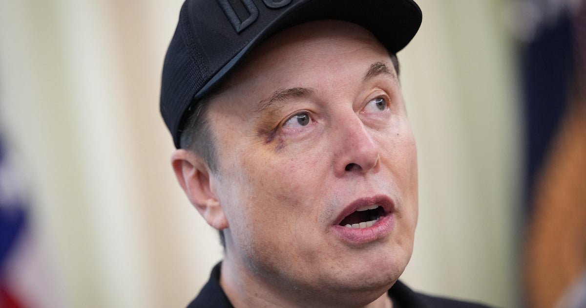 Elon Musk tells technology analyst and Dan IVES for "lock" after he pleadings to Tesla Board
