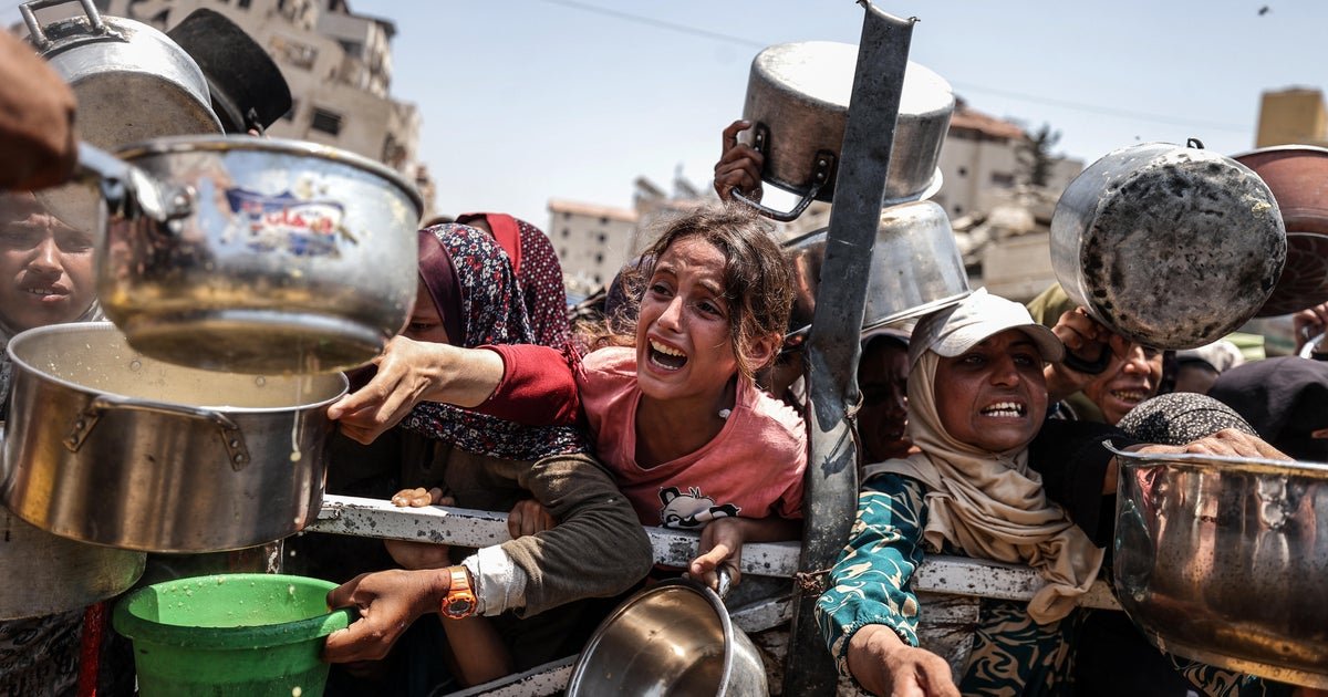 "The worst scenario of famine you are developing" in Gaza strip, food security experts say