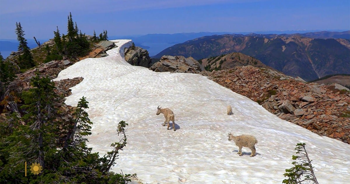 Nature: The mountain enjoys in Idaho