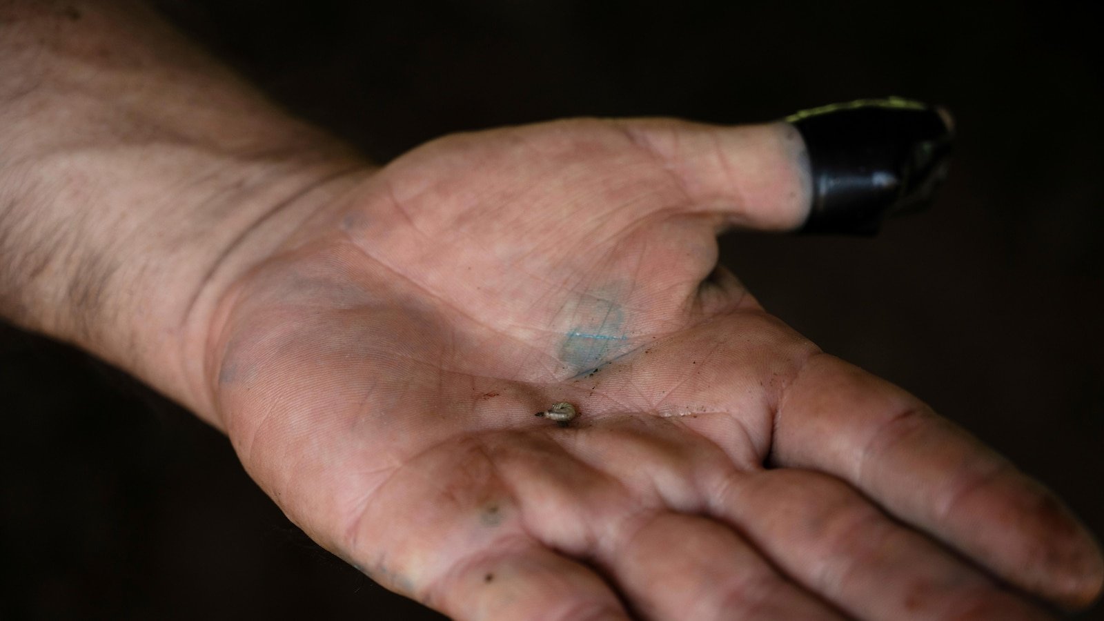 The ranchers in Mexico who fight against a creepy meat of grocery