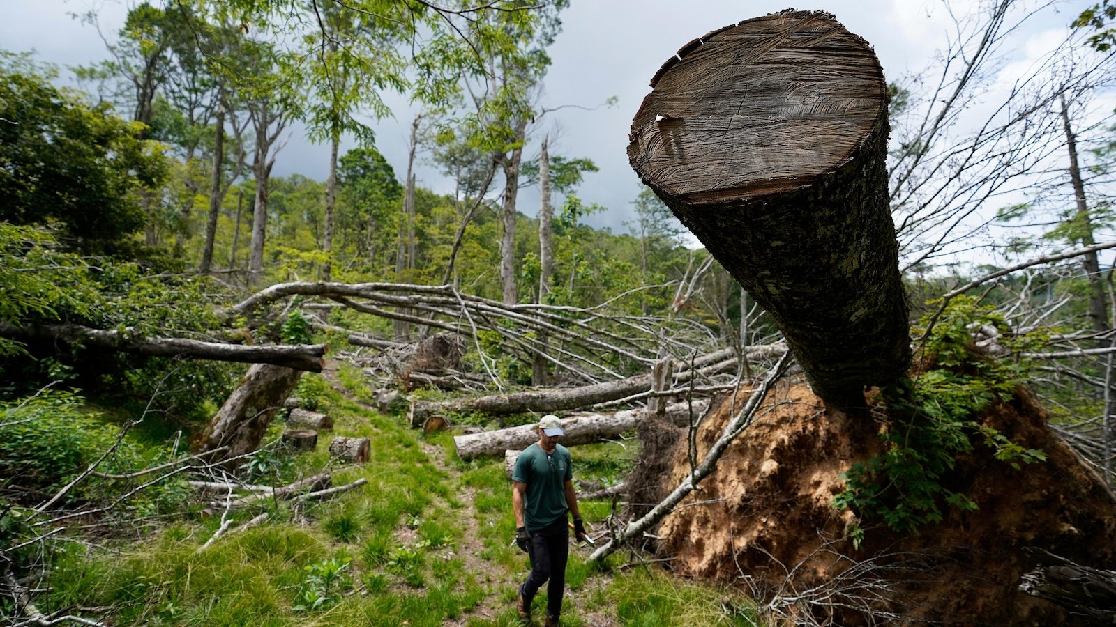 Volunteers fix damaged parts of the Appalachian Road for the hand nearly a year after helene